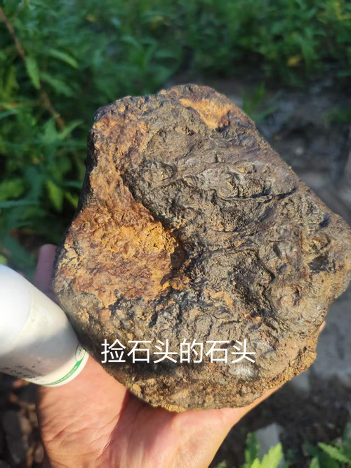 238ac07906eff77fae4033dd8a3813a1_副本.jpg