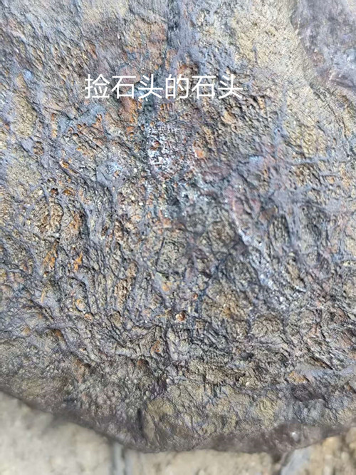35bdefa40f46edda16921c2cdc536b00_副本.jpg