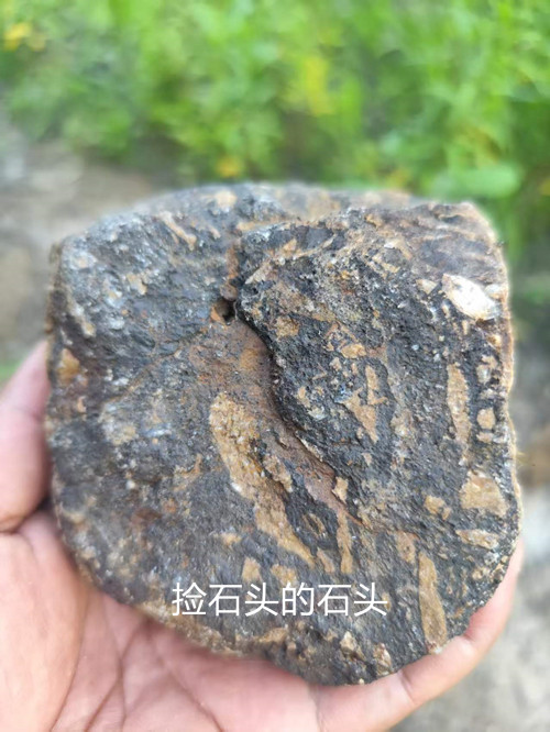 b5f050fb855fdca3e585c80e9dcfcd9e_副本.jpg