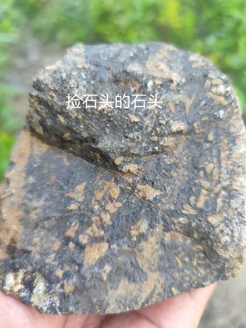 815d655810e622c7f2e3ab224ac5038f_副本.jpg