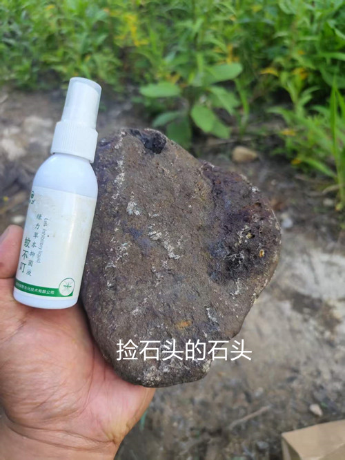 3055f449ff2feb901f00c92f12524982_副本.jpg
