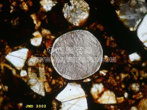 不同的球粒H3球粒陨石布朗菲尔德4 (小球粒轮辋。整个的球粒是古铜的单晶 ).jpg