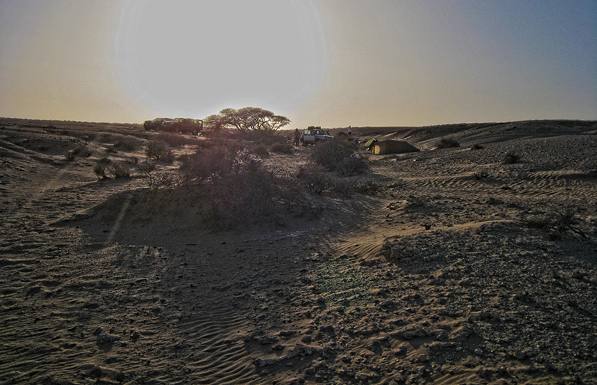 Sahara_twilight_597.jpg