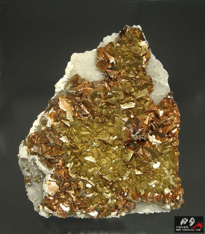 黄铁矿 葡萄牙 12 × 10 × 1.3厘米.jpg